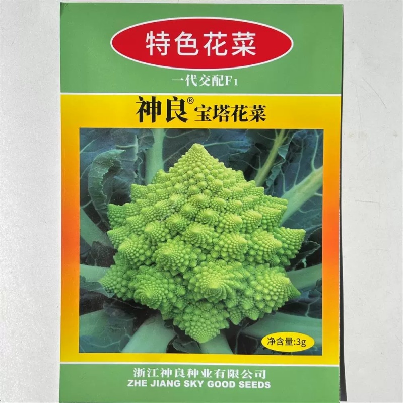宝塔花菜种子3克原装宝塔花椰菜种子花蕾翠绿抗病耐寒