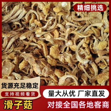 剪根滑子菇干品，无杂质，颜色黄，口感清香，