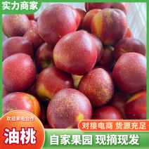 【货源充足】油桃山东中油油桃口感脆甜现摘现发商超品质