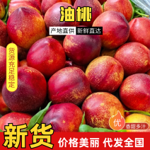 【好货】山东中油油桃产地一手货源供应电商社区团购市场