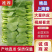 精品油菜上海青大量供应,常年供货,专业团队,保质保量