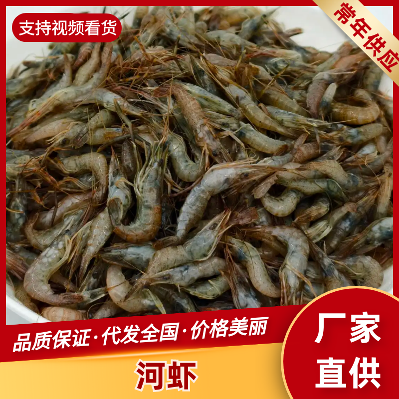 广东河虾常年大量现货供应，规格齐全，欢迎来电洽谈合作
