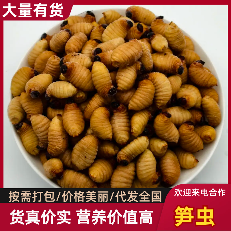 笋虫（竹笋虫）大量价优常年供货，活虫速冻品对接零售批发
