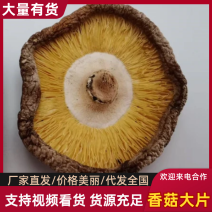 香菇大片批发大片香菇产地工厂直销香菇片干货