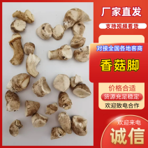 西峡县产地批发低价香菇脚量大自有工厂干净四季供货