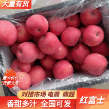 辽宁绥中红富士主产区高山口感甜脆皮毛干净条红～片红都有