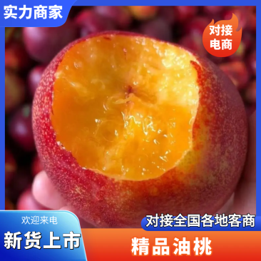 湖北曙光油桃中油系列等品种齐全，全国供应，可视频看货