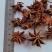 《精品》八角大量有货精选药材品质保证可视频看货