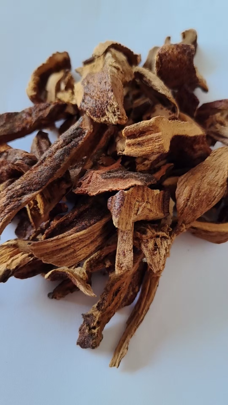 《精品》骨碎补大量有货精选药材品质保证可视频看货