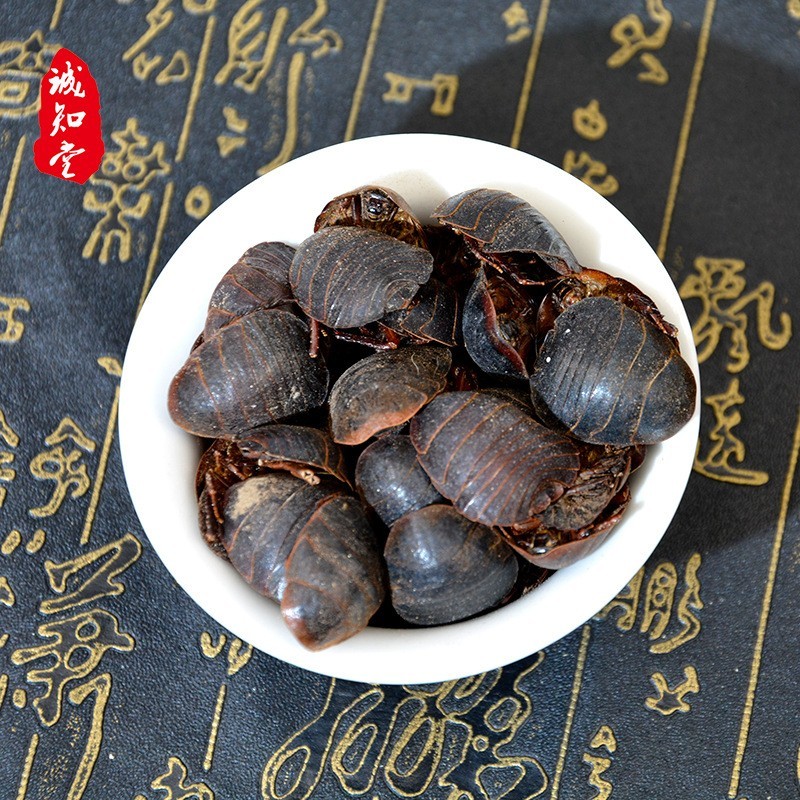 《精品》土元大量有货精选药材品质保证可视频看货