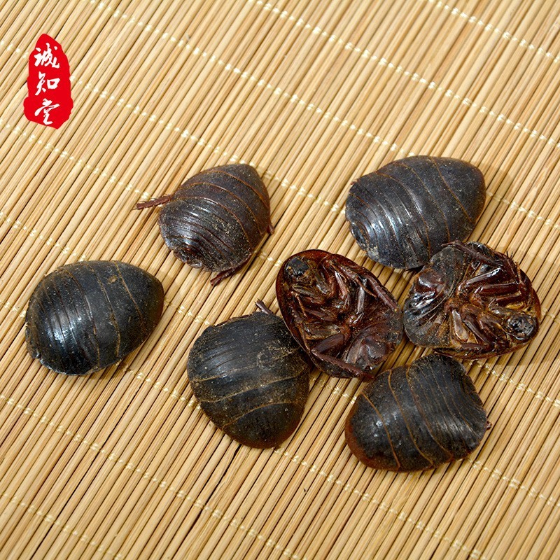 《精品》土元大量有货精选药材品质保证可视频看货
