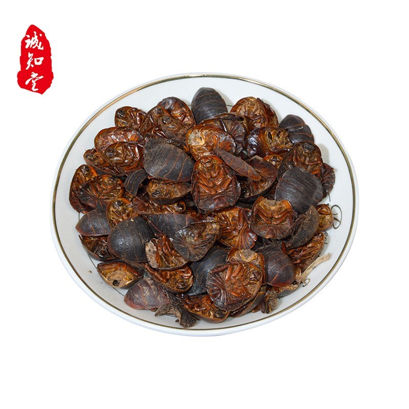 《精品》土元大量有货精选药材品质保证可视频看货