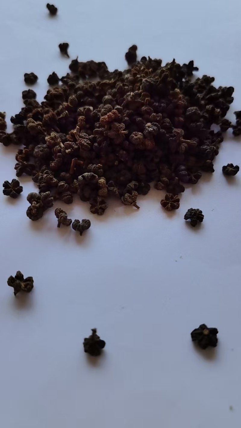 《精品》吴茱萸大量有货精选药材品质保证可视频看货