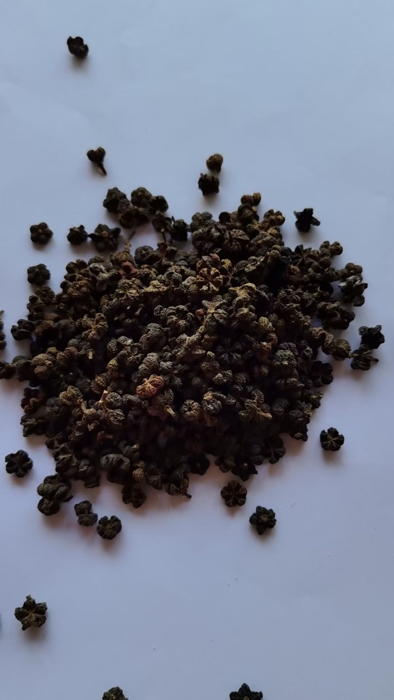 《精品》吴茱萸大量有货精选药材品质保证可视频看货