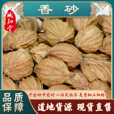《精品》香砂大量有货精选药材品质保证可视频看货