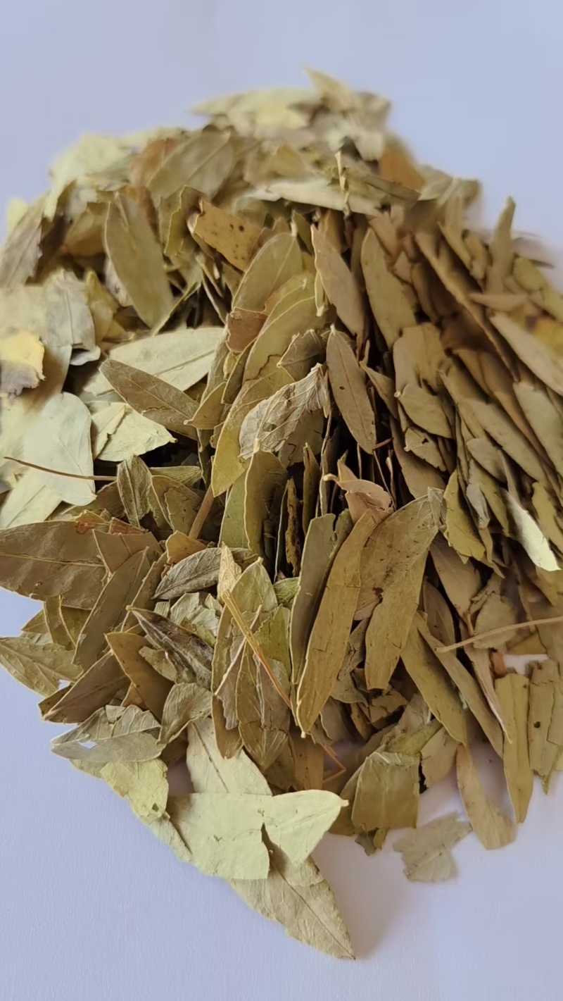 《精品》泻叶大量有货精选药材品质保证可视频看货