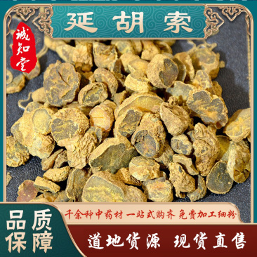 《精品》延胡索大量有货精选药材品质保证可视频看货