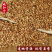 《精品》郁李仁大量有货精选药材品质保证可视频看货