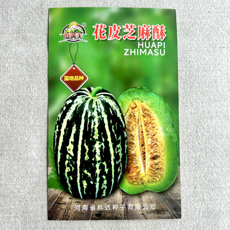 花皮芝麻酥甜瓜种子早熟薄皮高糖香瓜子大田春秋种植