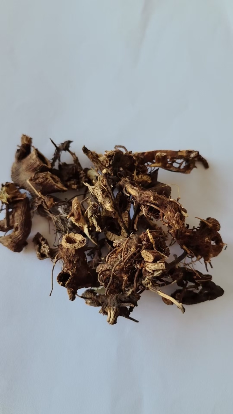 《精品》升麻大量有货精选药材品质保证可视频看货