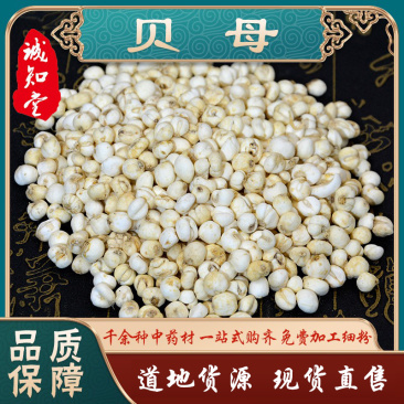 《优质》贝母大量有货精选药材品质保证可视频看货