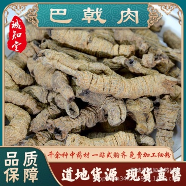 《精品》巴戟肉大量有货精选药材品质保证可视频看货