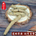 《精品》巴戟肉大量有货精选药材品质保证可视频看货