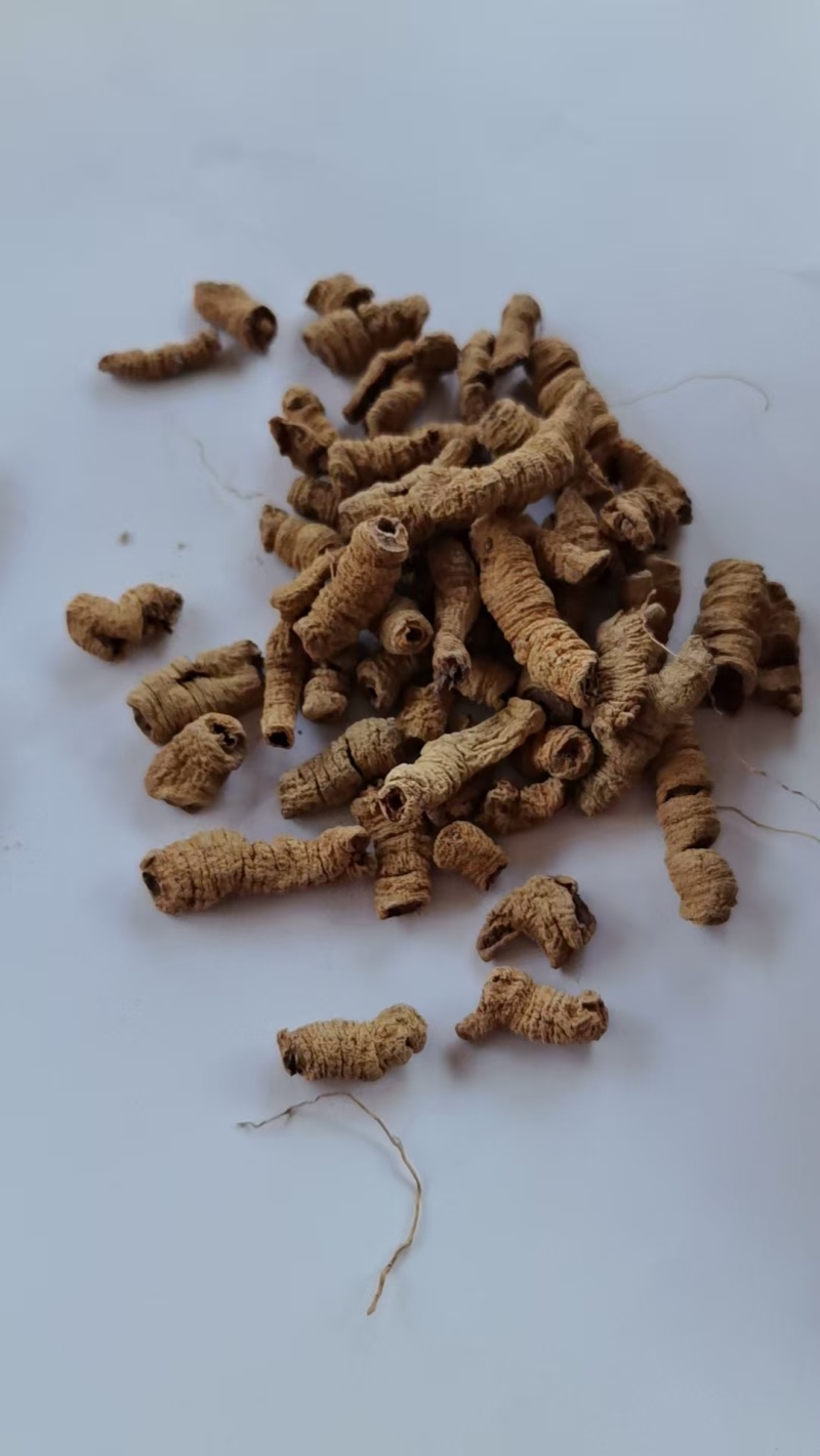 《精品》巴戟肉大量有货精选药材品质保证可视频看货
