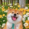 周星的一亩田店铺