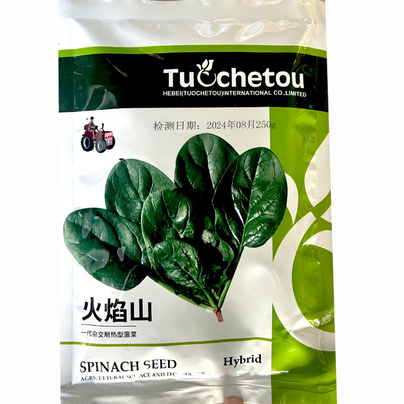 火焰山进口菠菜种子250g四季高产抗病耐热圆叶基地
