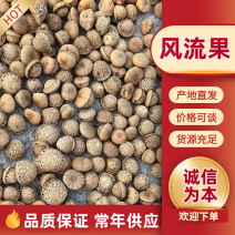 风流果2025年新货出炉保证新货大量批发有肉率95%以上