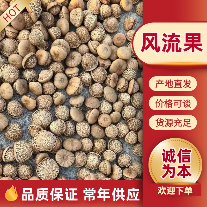 风流果2025年新货出炉保证新货大量批发有肉率95%以上