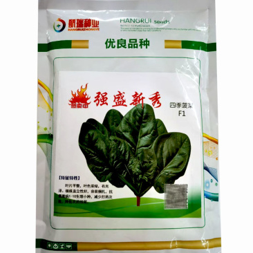 强盛新秀菠菜种子耐热圆菠杂交一代菠菜种子大叶圆叶半直立