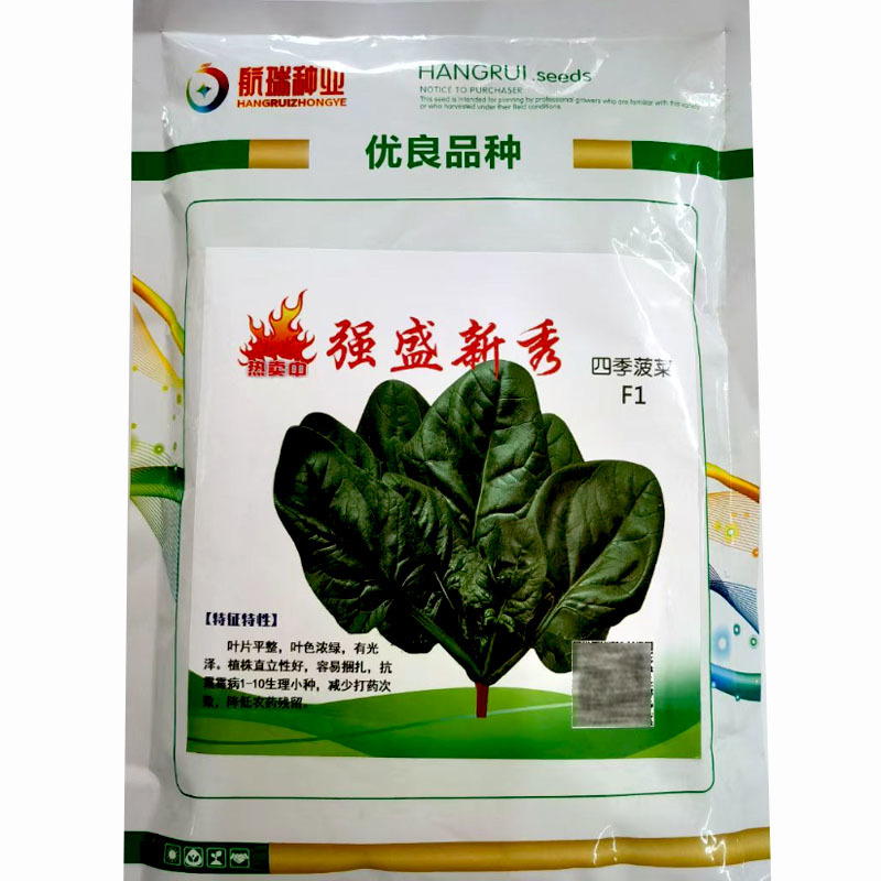 强盛新秀菠菜种子耐热圆菠杂交一代菠菜种子大叶圆叶半直立