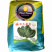 强盛新秀菠菜种子耐热圆菠杂交一代菠菜种子大叶圆叶半直立