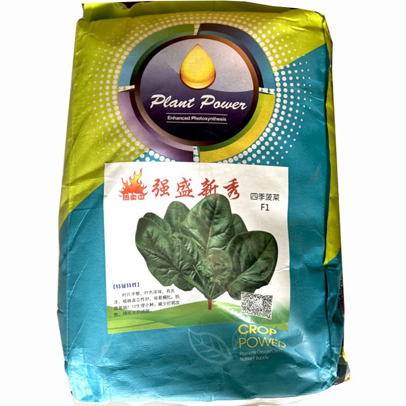 强盛新秀菠菜种子耐热圆菠杂交一代菠菜种子大叶圆叶半直立