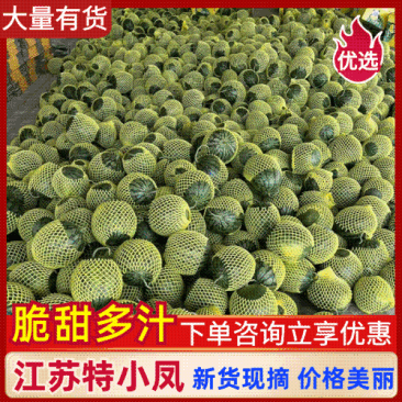 【实力】江苏精品特小凤西瓜，产地直发，服务周到欢迎选购