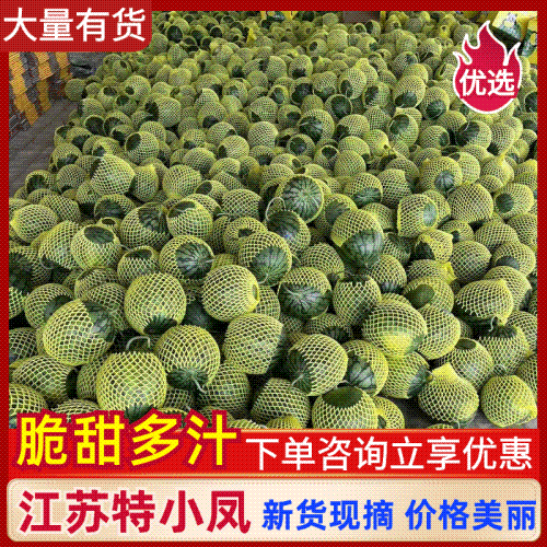 【实力】江苏精品特小凤西瓜，产地直发，服务周到欢迎选购