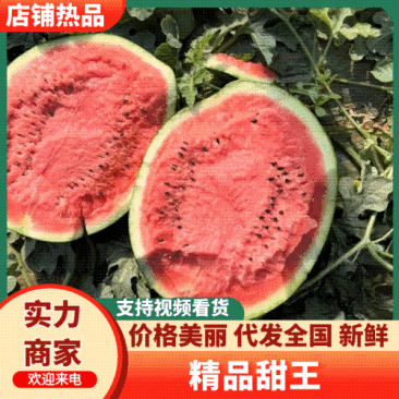【实力】砀山甜王西瓜精品西瓜一手货源电商直供欢迎选购