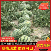 精品美都西瓜一手货源河南西瓜精品西瓜全国可发