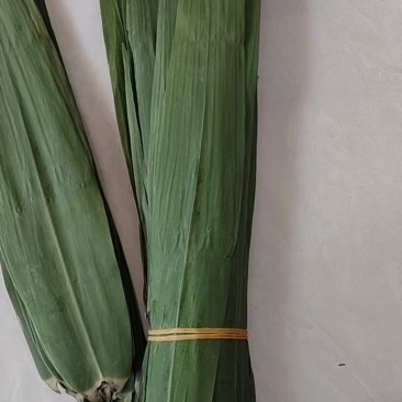 粽子叶/粽叶/5公分款两大从优，欢迎老板来电话看货