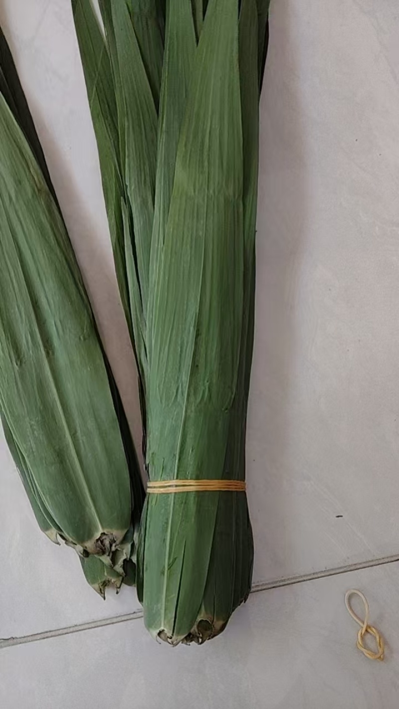 粽子叶/粽叶/5公分款两大从优，欢迎老板来电话看货