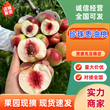 珍珠枣油桃陕西油桃早熟枣油桃现摘现发供应全国市场