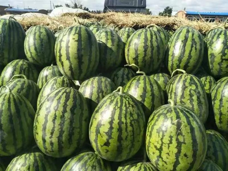 河北陆地甜王西瓜品质保障价格优惠产地直发包熟包甜市场**