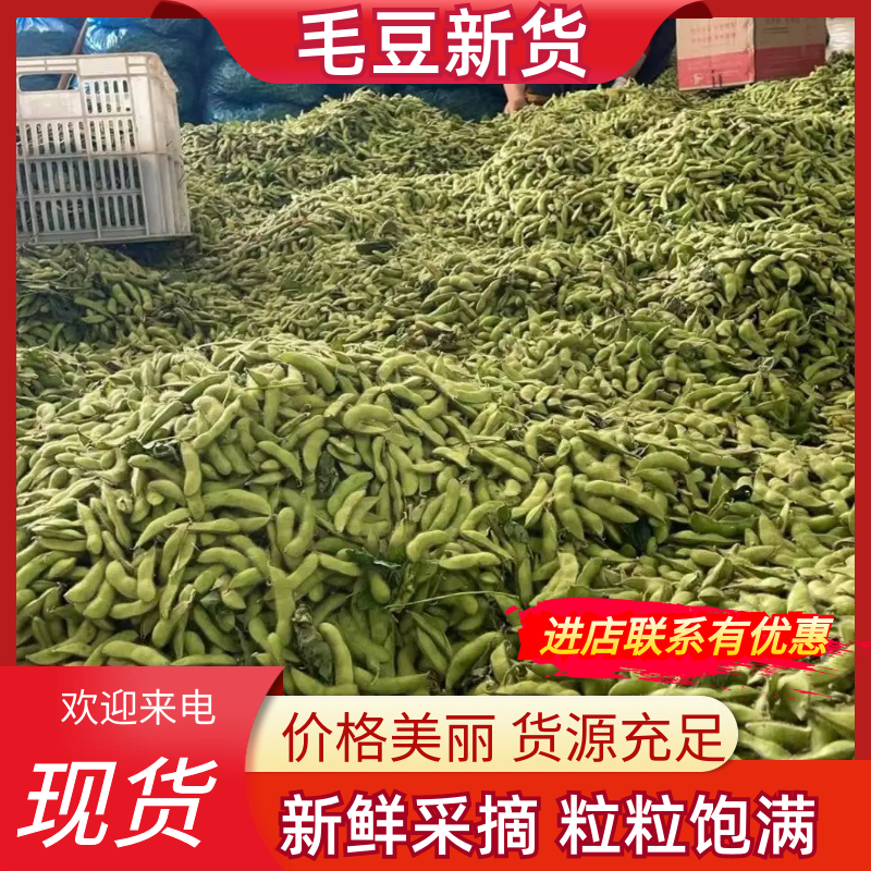 翠绿包毛豆大量上货，对接全国商超电商欢迎来电