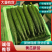 密刺黄瓜精品黄瓜产地直发质量保证对接商超市场社区等