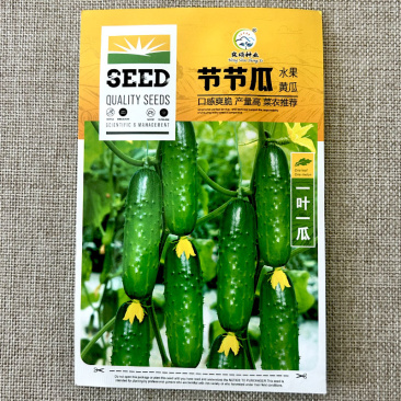 水果黄瓜种子节节瓜一叶一瓜中早熟口感爽脆大田地