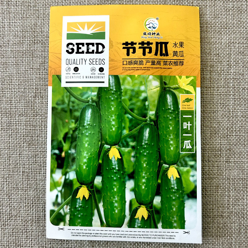 水果黄瓜种子节节瓜一叶一瓜中早熟口感爽脆大田地
