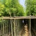 香樟树长期供应产地直供大量有货对接各大平台