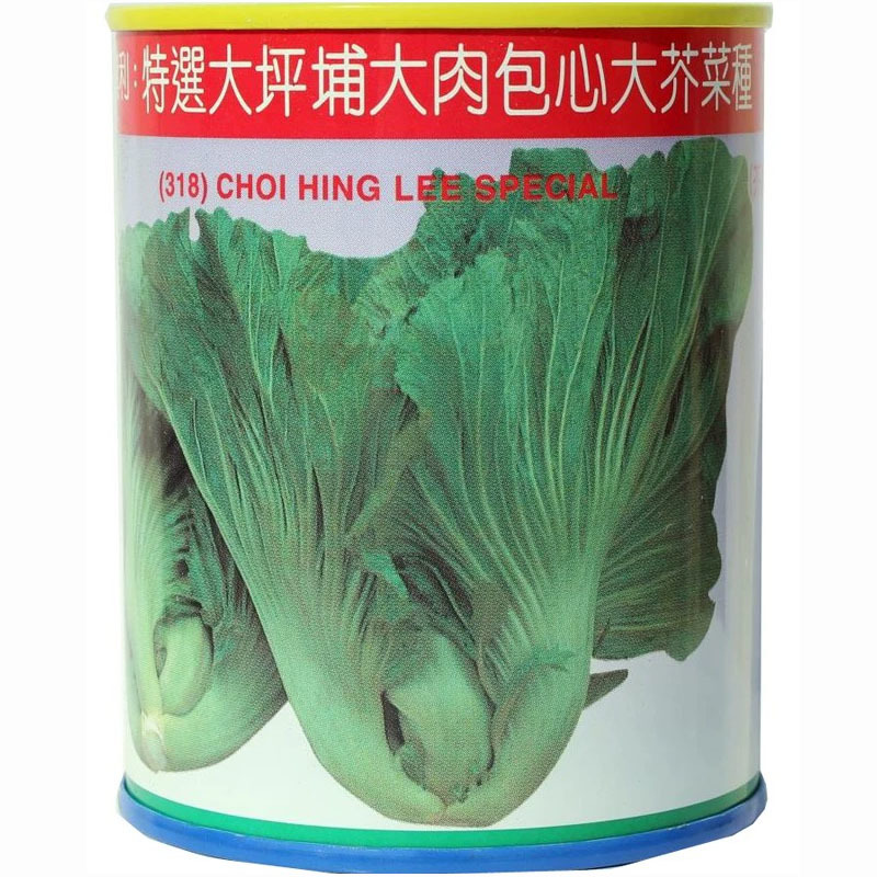 蔡兴利特选大坪埔大肉包心大芥菜种子耐热耐寒耐抽苔